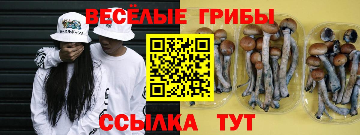 Псилоцибиновые грибы мухоморы Ржев